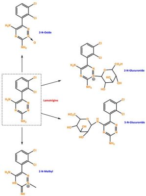 what vitamins should not be taken with lamotrigine and how does vitamin D affect the metabolism of lamotrigine